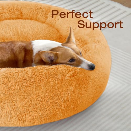 Dog Beds Large Sized Dog (36" / Orange)