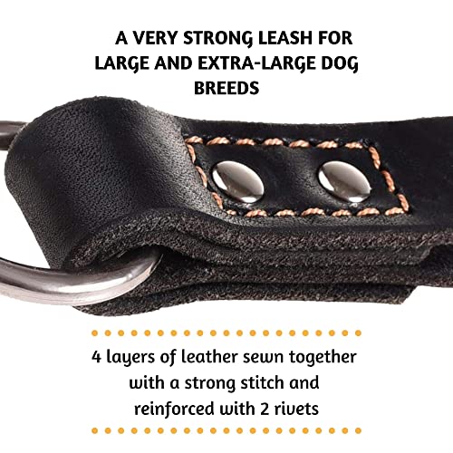 Short Leather Dog Leash 12" Length x 1" Wide (15" long x 1" width / Black)