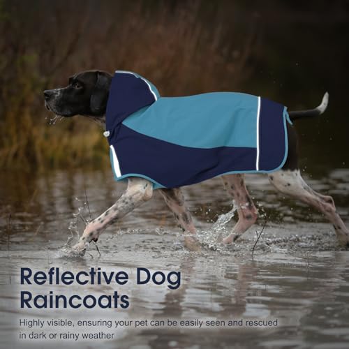 Dog Raincoats for Large Dogs (X-Large / Blue)