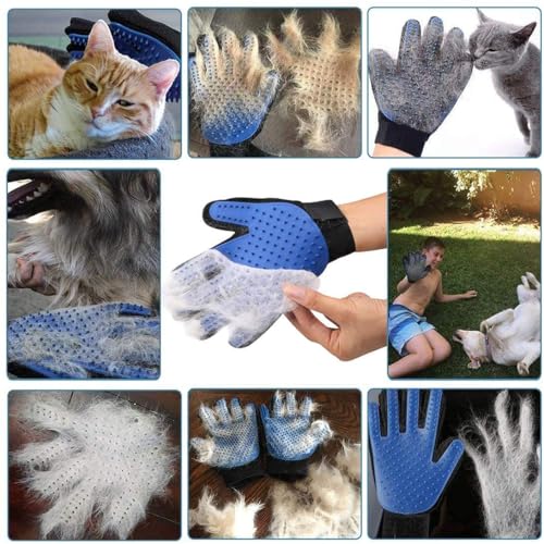 Dog and Cat Grooming Kit