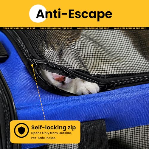 Cat Carrier Bag (M / Blue)