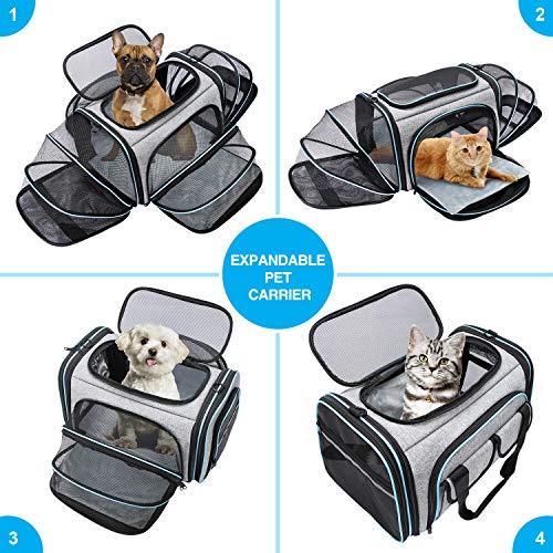 Airline Approved Pet Carrier