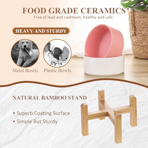 Ceramic Elevated Dog Bowl with Bamboo Stand (Medium / Pink)
