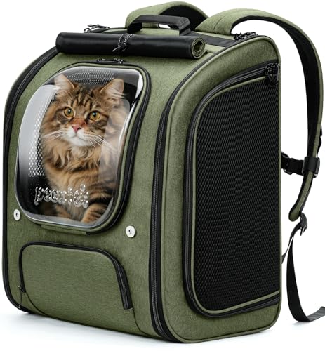 Cat Backpack Carrier (Green / 14.9"L x 11.0"W x 19.6"H)