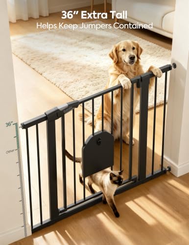 36" Tall Baby Gate with Adjustable Cat Door (Black / 29-43" Wide, 36" Tall | Standard)