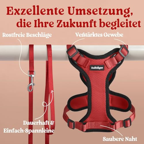 Cat Harness and Leash Set (Xs / Red)