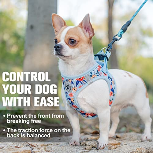 Small Dog Harness and Leash Set (XX-Small(Chest Girth 11.5"-13") / Blue Rose)
