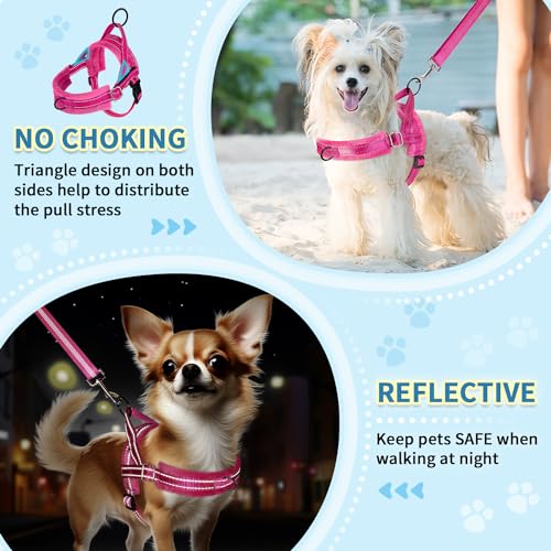 No Pull Small Dog Harness and Leash Set with Front Clip (XX-Small / Fuchsia)