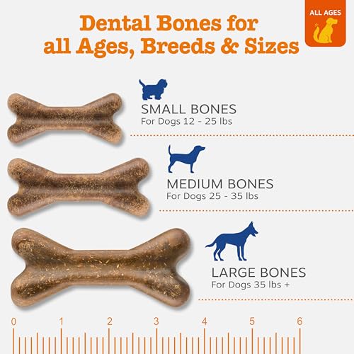 Dental Dog Bones for Medium Dogs