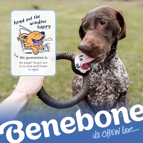 Ring Dog Chew Toy for Aggressive Chewers (REAL Blueberry / Small)