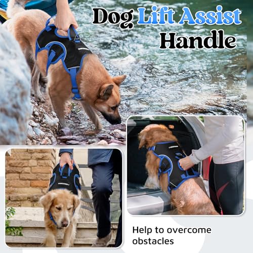 Escape Proof Dog Harness for Large (Blue & Black / Large)