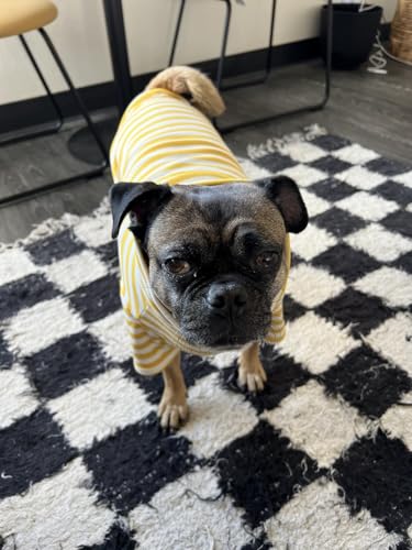 Turtleneck Dog Shirt Cute Doggie Embroidery Super Soft Dog Sweatshirt Stretchy Striped Puppy Pullover for Cats Small Medium Large Dogs (Yellow Striped / X-Large)