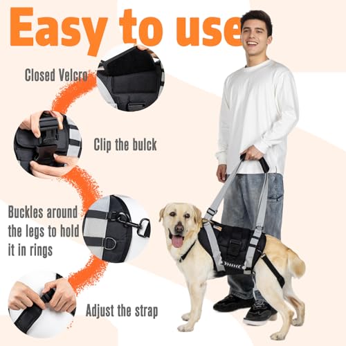 Dog Lift Harness for Large Dogs (Black / XX-Large)
