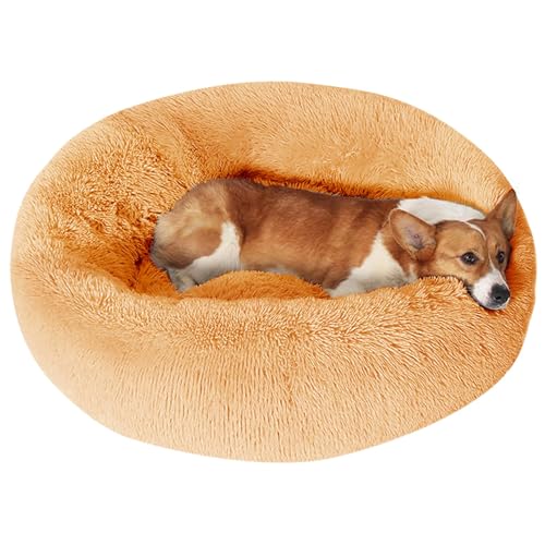 Dog Beds Large Sized Dog (36" / Orange)