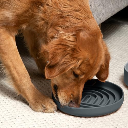 Slow Feeder Dog Bowl (Charcoal - Rainbow Design / Large (9.5” Across and 1.5” Tall))