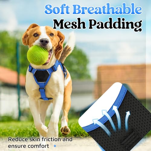Escape Proof Dog Harness for Small (Blue & Black / Small)