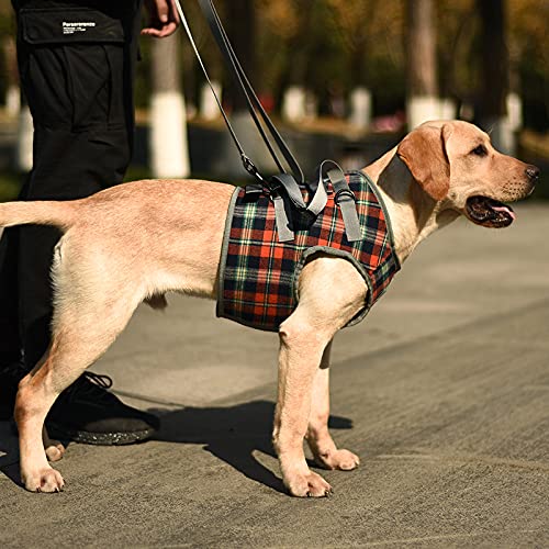 Dog Lift Harness (Large / Chest-Orange)