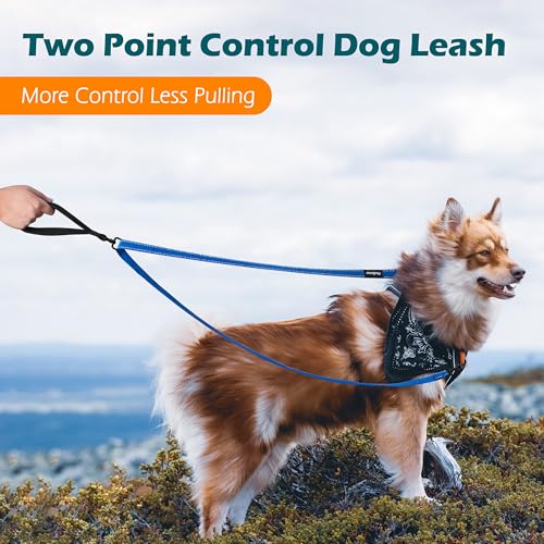 Two Point Control Dog Leash (Blue)