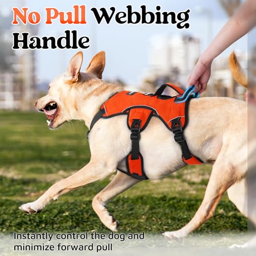 Escape Proof Dog Harness for X (Orange / X-Large)