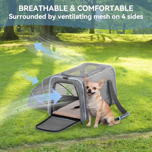 Medium Expandable Cat Carrier for Air Travel (17.0"L x 11.0"W x 11.0"H / Light Gray)
