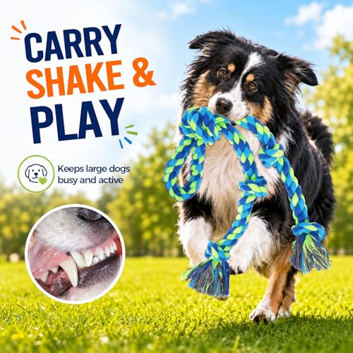 Tough Dog Rope Toys for Aggressive Chewers (Colorful)