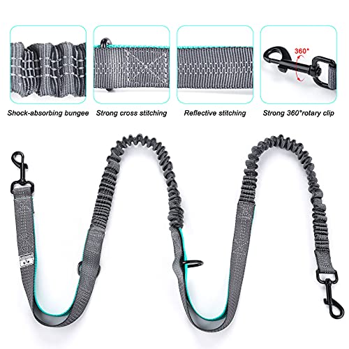 Retractable Hands Free Dog Leash with Dual Bungees for 2 Dogs (Blue/Black)