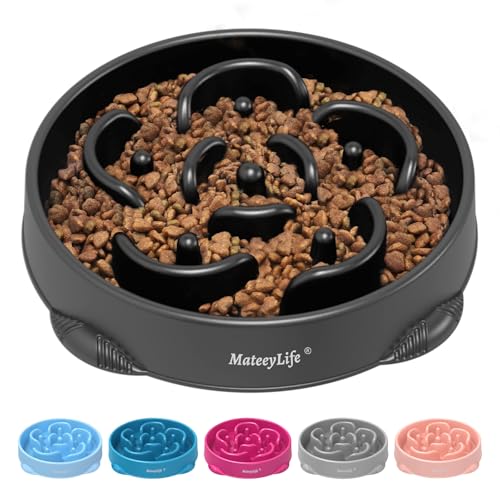 1 Pack Slow Feeder Dog Bowls (H-Black / Large)