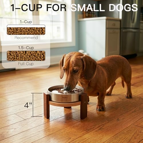 Elevated Dog Bowl Stand (4" Height 1Cup Slow Feeder)