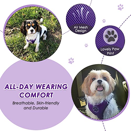 Dog Car Harness Seat Belt (X-Small / Purple)