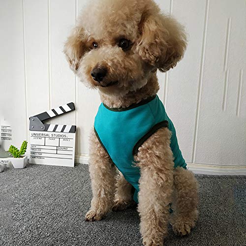 Dog’s Recovery Suit Post Surgery Shirt for Puppy (X-Large / blue)