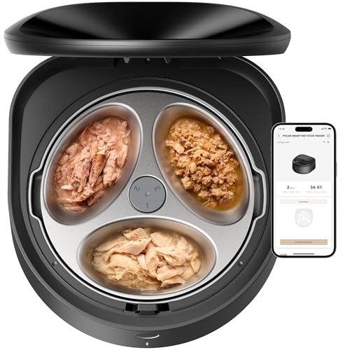 Automatic Wet Food Cat Feeder 2026 New Version with Semiconductor Cooling (Black / Feeder)