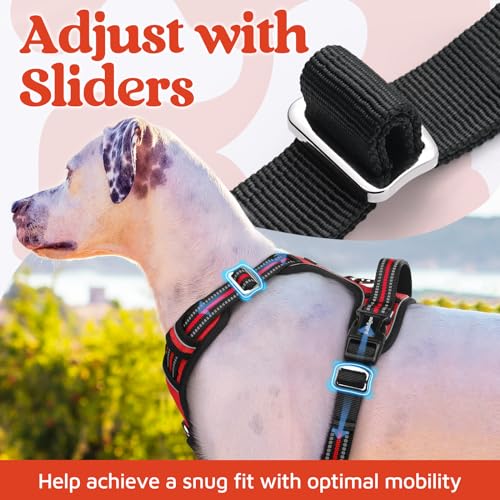 Dog Harness Small Sized (Red / Small)