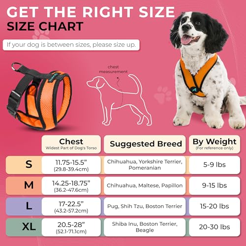 Orange X Large Comfort X Head in Harness (X-Large Chest (20.5-28") / Orange)