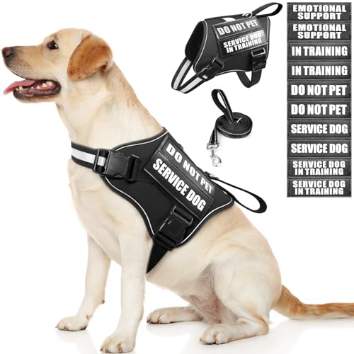 Service Dog Vest Harness and Leash Set+10 Patches (Large / Black)