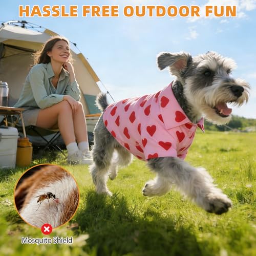 Valentine's Dog Shirt with Leash D (Medium / Pink Heart)