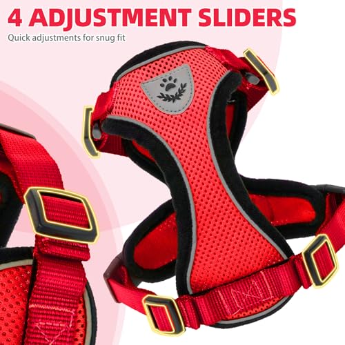 Cat Harness and Leash Set Escape Proof Reflective Cat Walking Harness Adjustable Soft Breathable Mesh Vest for Small Pets (M (NECK 11"-13.7", CHEST 16"-20") / Red)
