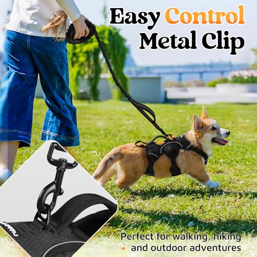 Escape Proof Dog Harness for Small (Black / Small)