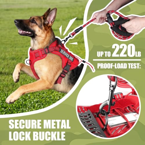 Dog Harness and Leash Set for Medium Dogs (Red / M)