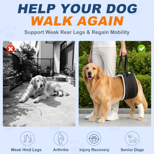 Dog Lift Harness for Rear Legs (Large)