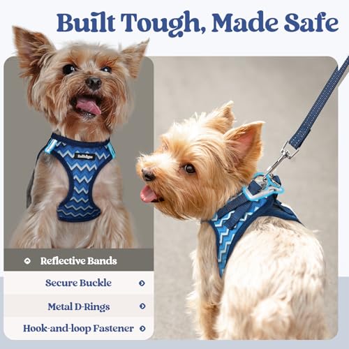 Dog Harness Medium Sized and Leash Set (Blue Zigzag / M (chest: 16 - 18.5"))