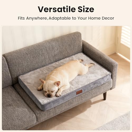 Orthopedic Waterproof Medium Dog Bed (30" x 20" x 3" (For Sprawling) / 01-Gray)