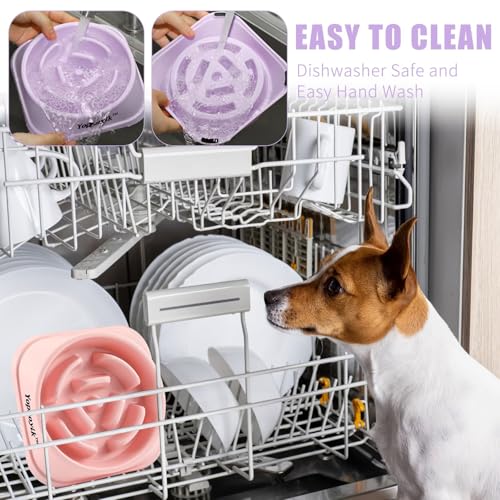 2 Pack Slow Feeder Dog Bowls for Medium Dogs & Cats (Medium / Pink and Purple)