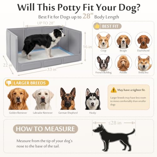 Dog Litter Box with High Walls