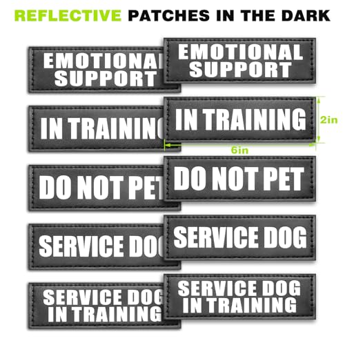 Service Dog Vest Harness for Large Dog (Large / Green)
