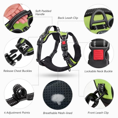 No Pull Dog Harness Large with Front Clip & Neck Release Buckle (XL / Green)