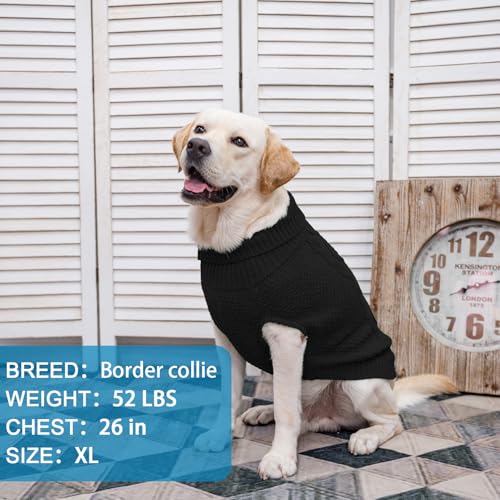Turtleneck Dog Sweater (X-Small / Black)