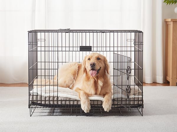Dog Bed for Large Dogs (Beige / Medium:(31"L x 25"W x 3"Th))
