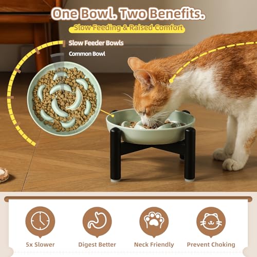 Elevated Slow Feeder Cat Bowl (Blue + Metal Stand / 9"H)