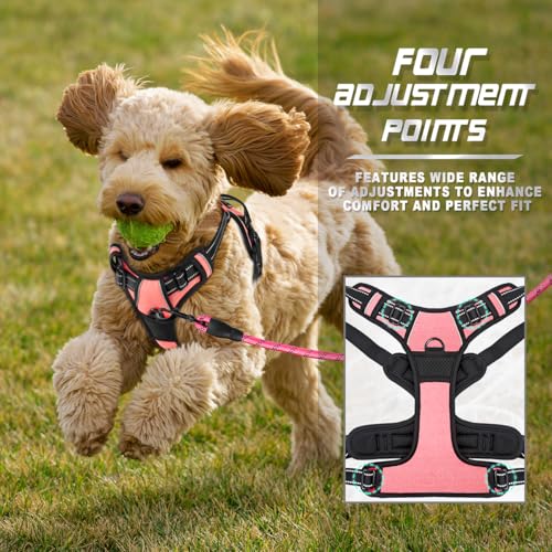 Dog Harness No Pull for Small Sized Dog Front Back Clips (X-Small(Chest:15.5-19.5”) / Light Pink)