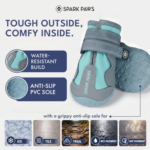365 Dog Shoes (365 Teal / Size 8: 3"x3.35"(W*L) (Pack of 4))